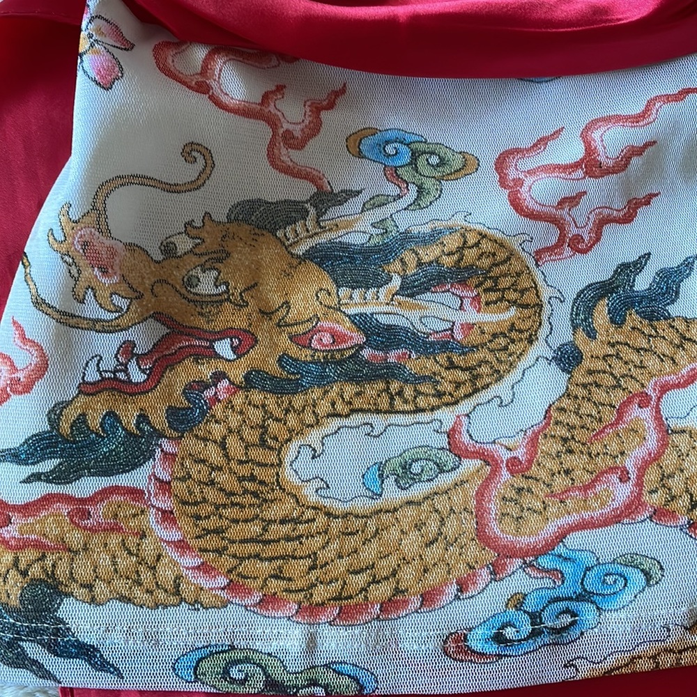Dragon top - Picture 5 of 5